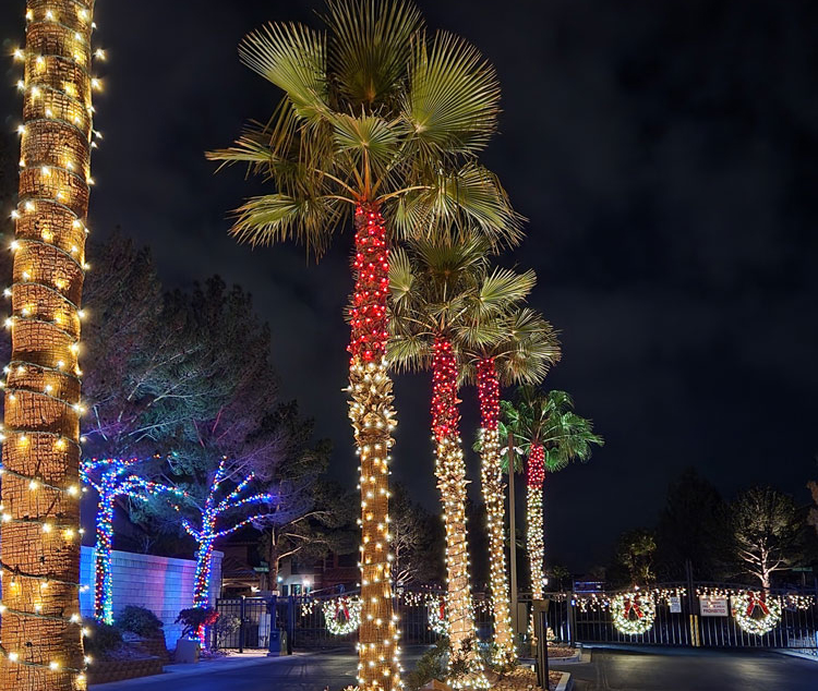 Christmas Light Install by Holiday Decorations in Las Vegas