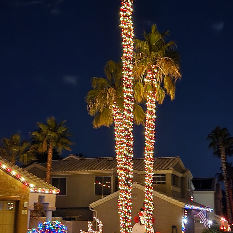 Candy Caned Palms Trees by Holiday Decorations in Las Vegas