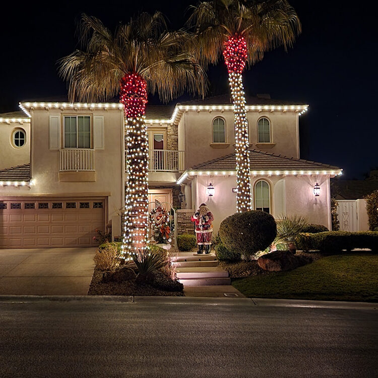 Warm White C-9 Bulbs and Palms with warm white mini lights with red on top