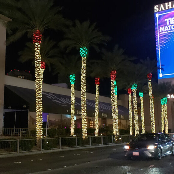 Commercial Christmas Light Installation Services in Las Vegas
