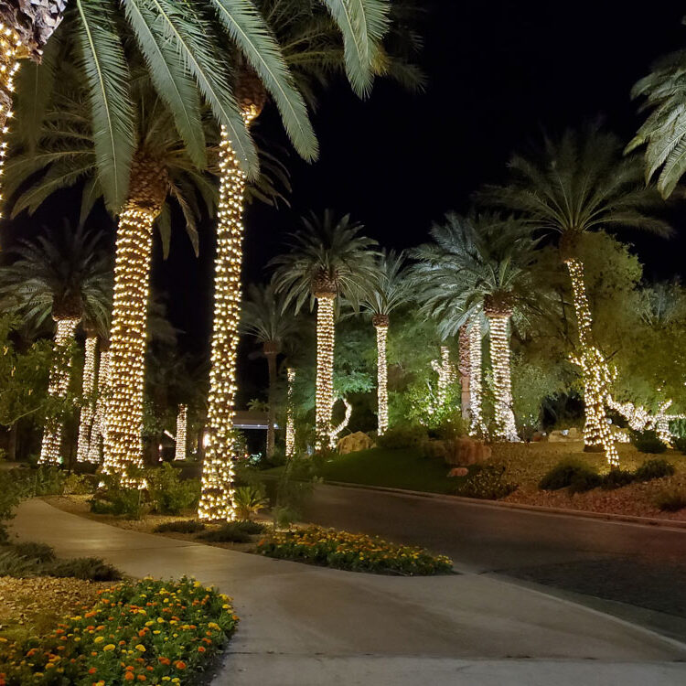 Homeowner Association Holiday Lighting Las Vegas