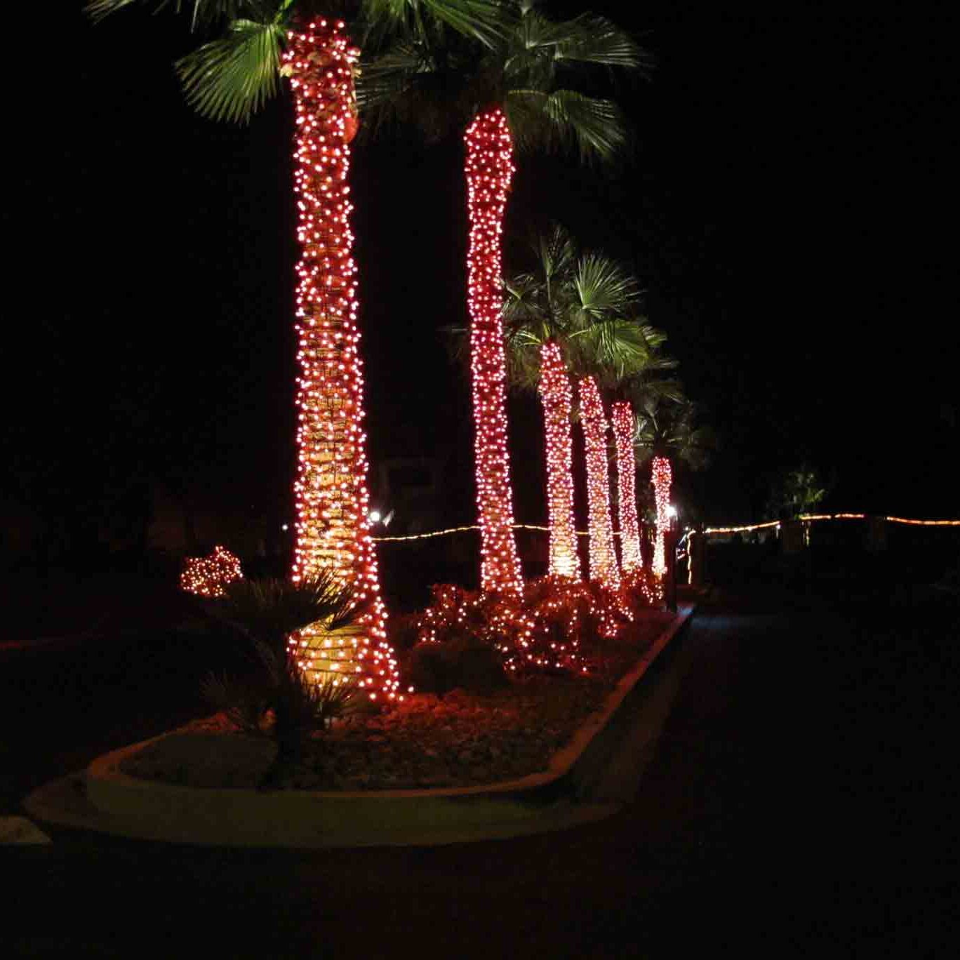 HOA Halloween Lights Las Vegas