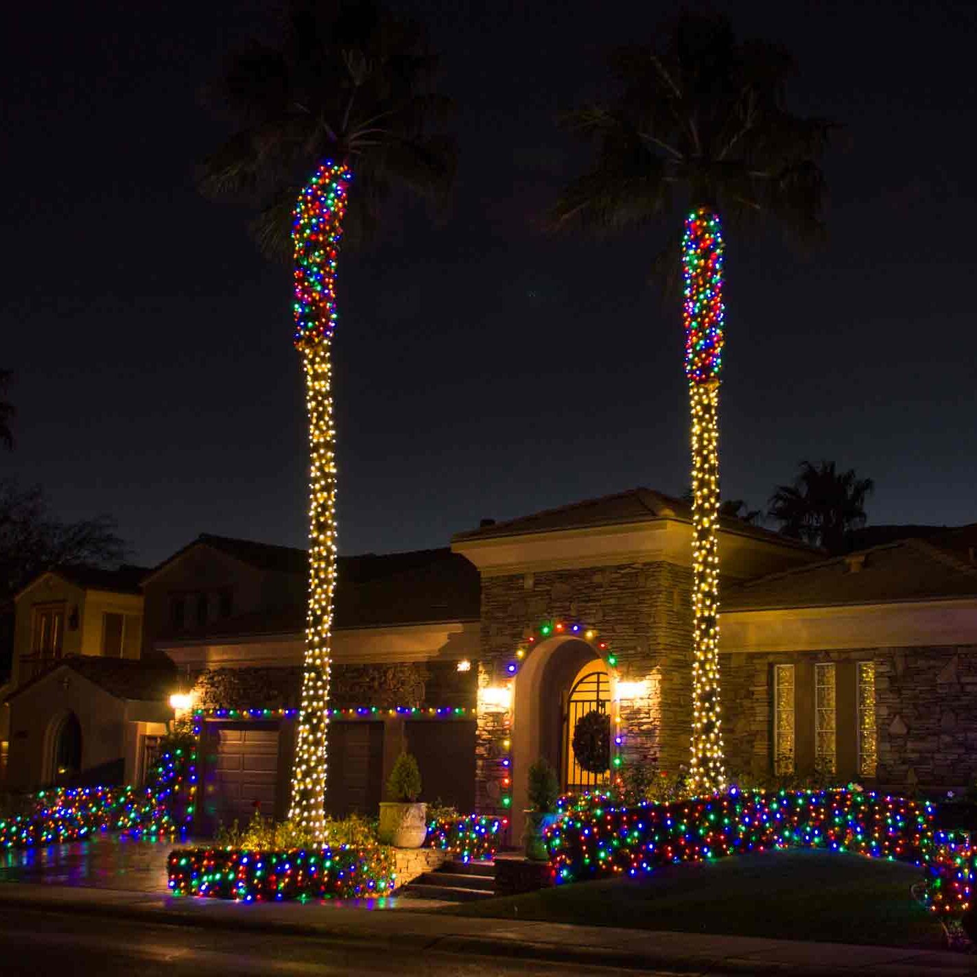 Palms with Multi Colored Lights on Top by Holiday Decorations in Las Vegas